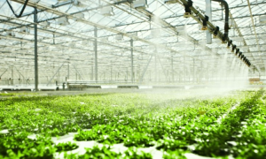 FarmLab